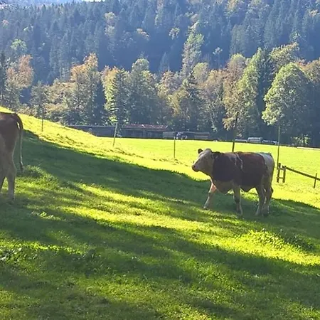 Charmantes Ferienhaus Mit Gartenoase Apartamento