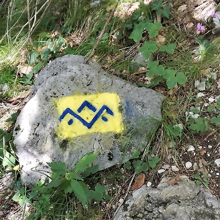 Charmantes Ferienhaus Mit Gartenoase Apartamento Siegsdorf